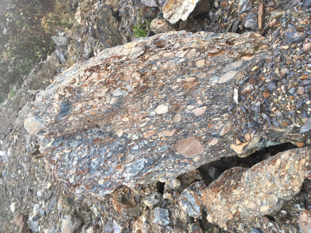 Rogerson Lake conglomerate
