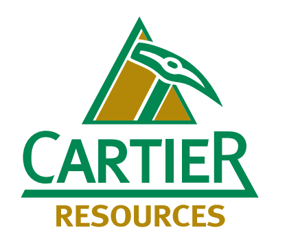 cartier resources stock